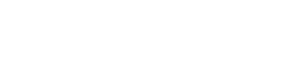 Digital Project & Ecommerce Manager